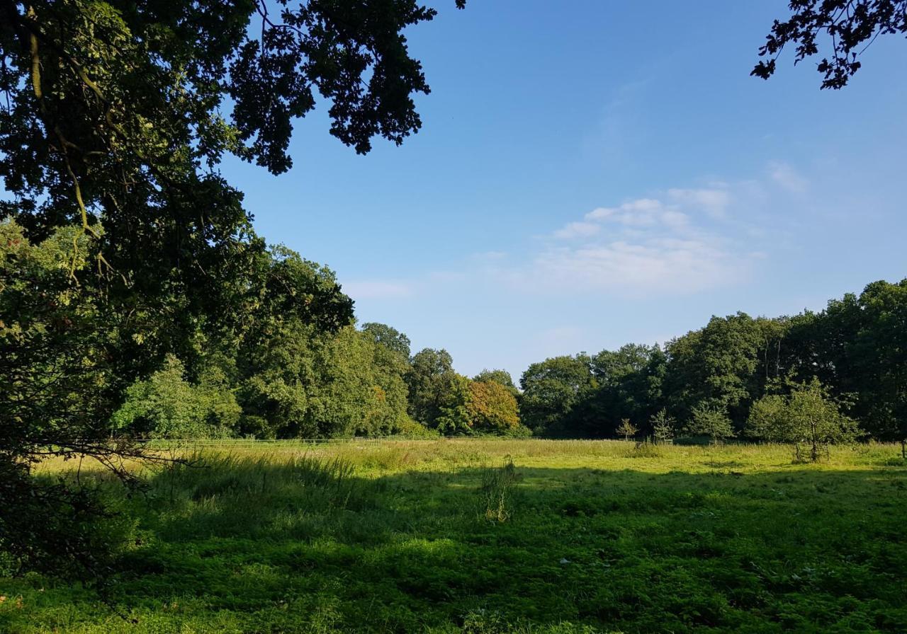 Wohlfuehloase Am Bad Zwischenahner Meer Buitenkant foto