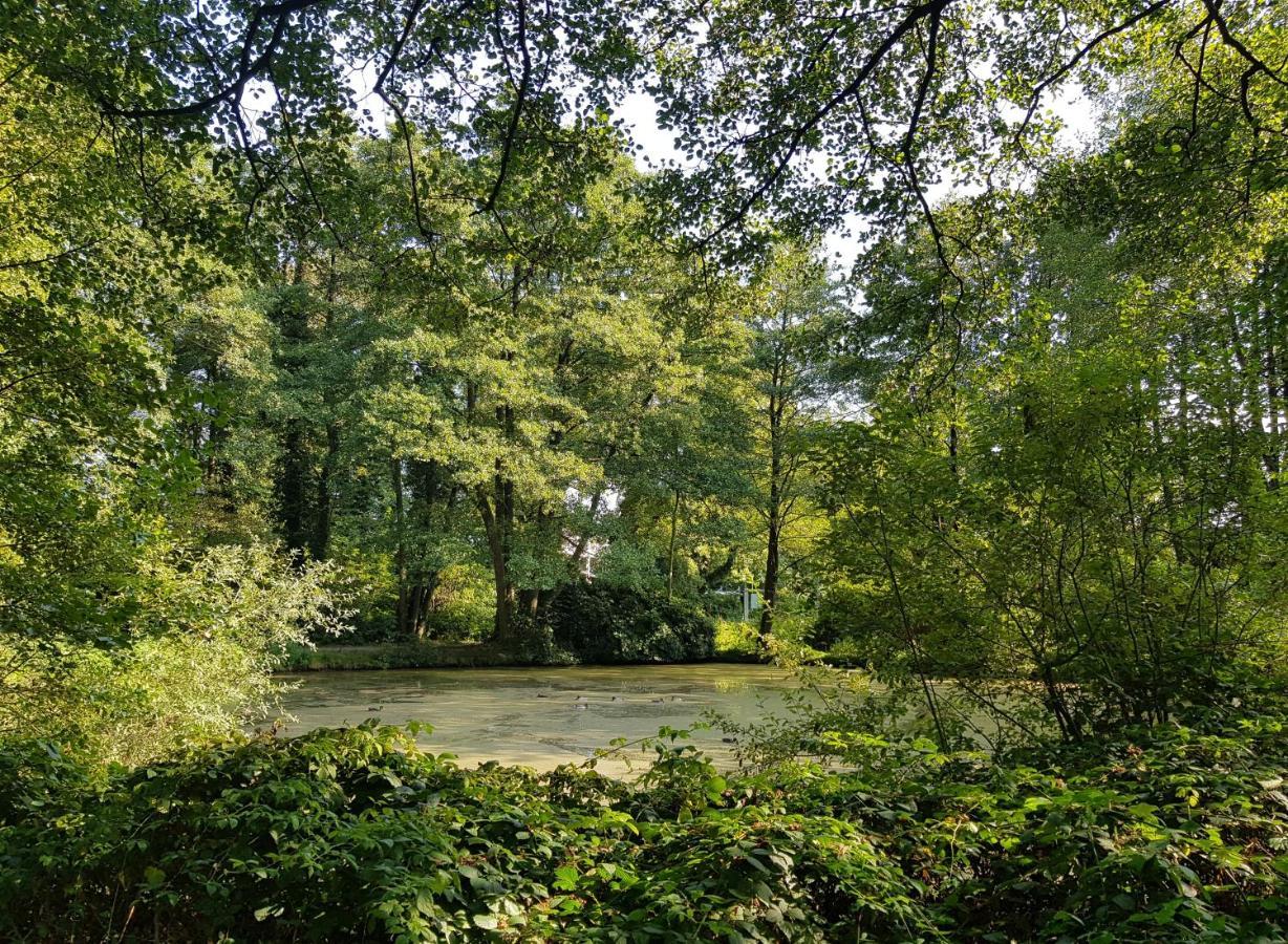 Wohlfuehloase Am Bad Zwischenahner Meer Buitenkant foto