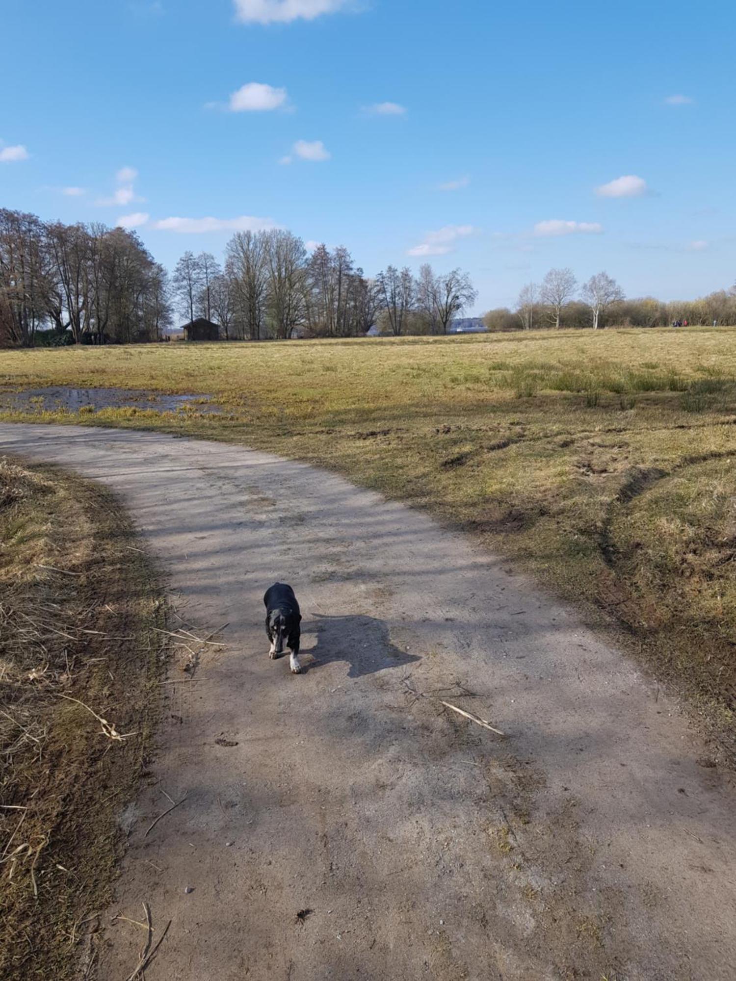 Wohlfuehloase Am Bad Zwischenahner Meer Buitenkant foto